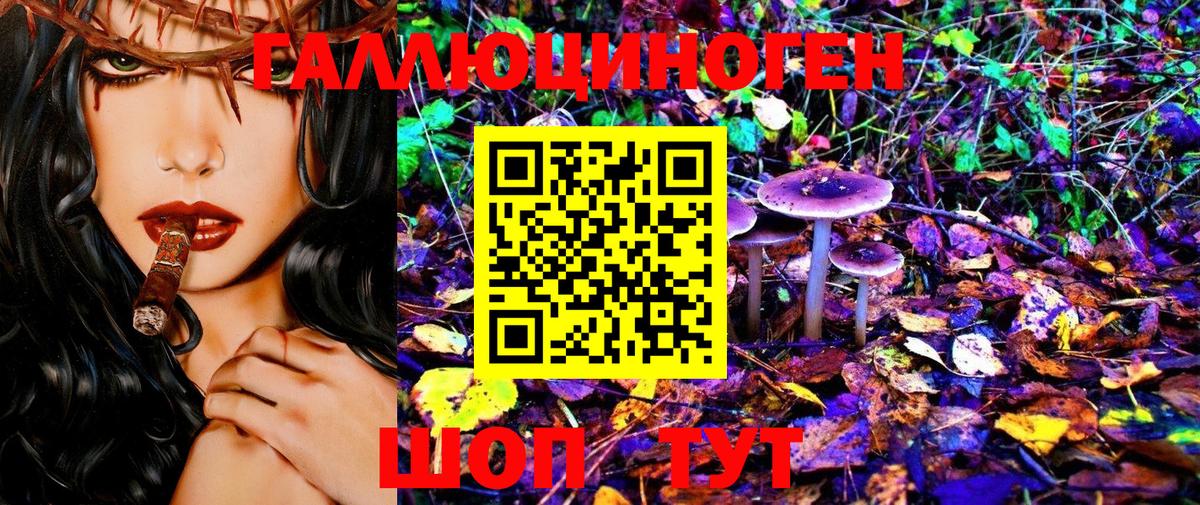 Галлюциногенные грибы Psilocybe  Вход с VPN  Энгельс 