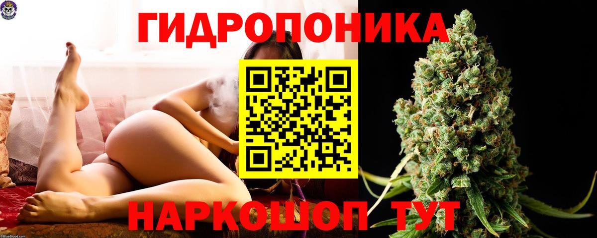 Бошки марихуана семена Энгельс